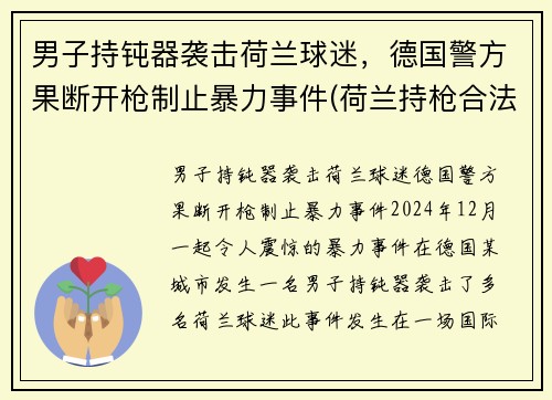 男子持钝器袭击荷兰球迷，德国警方果断开枪制止暴力事件(荷兰持枪合法吗)